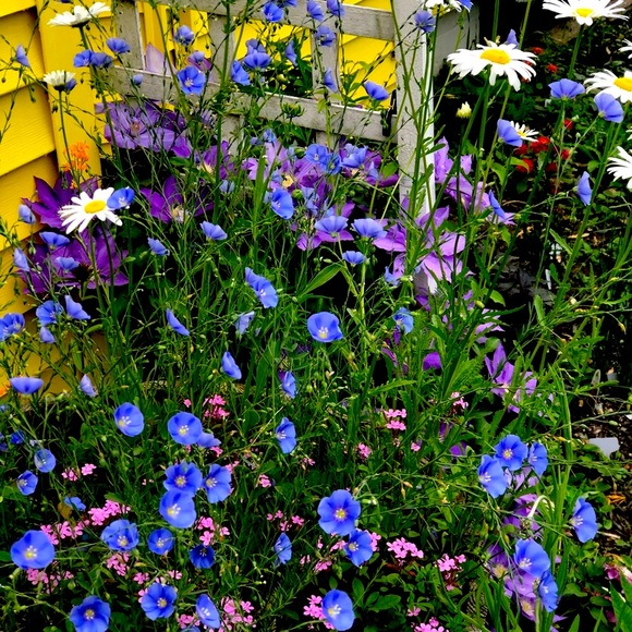 ✨🕺🏻✨ Meet your Posher, JM - Picture 9 of 11